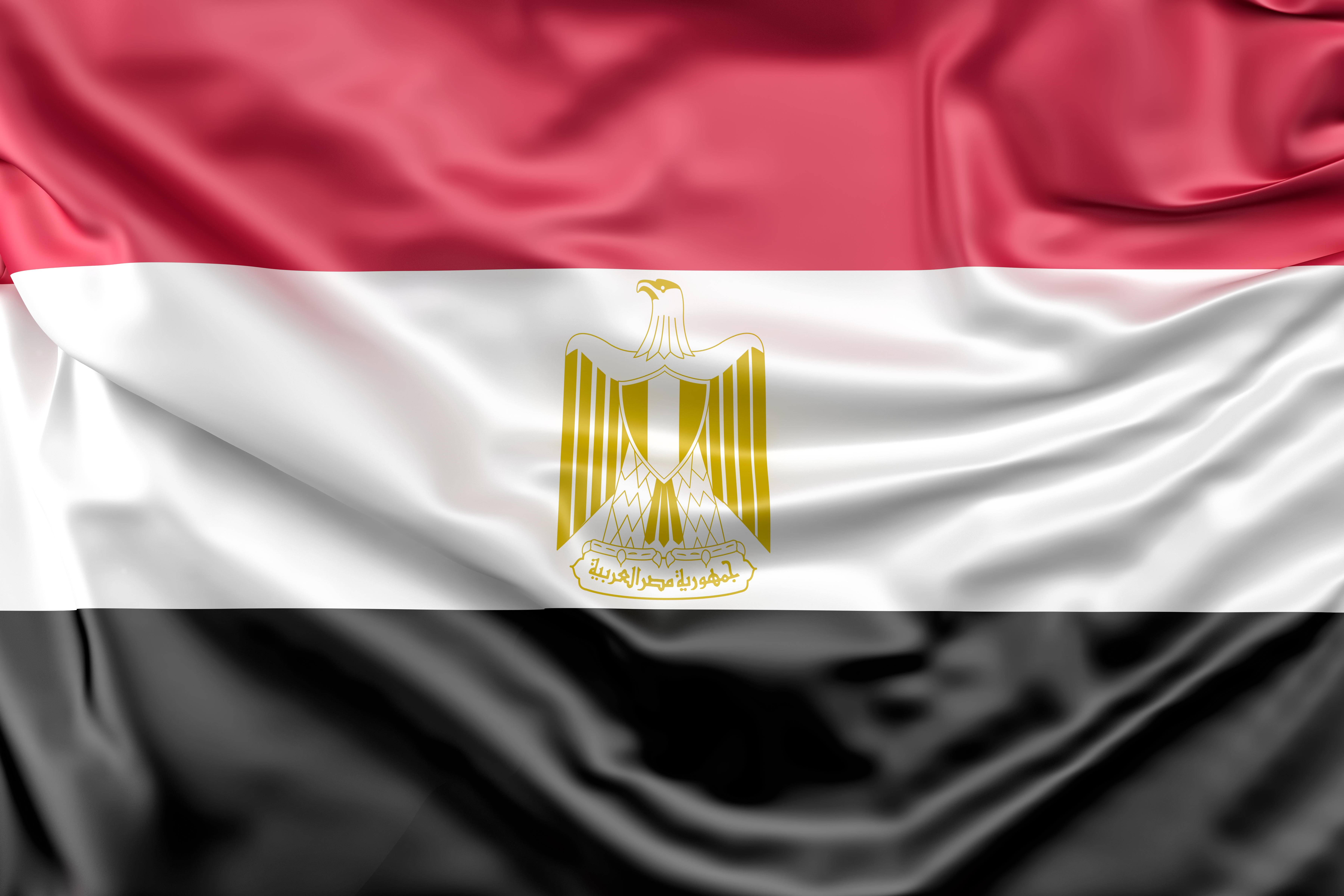 Мастер-класс в онлайн формате "Особенности экспорта в Египет"