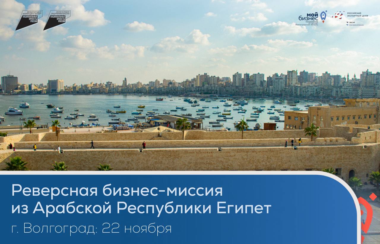 Экспорт в Египет: примите участие в переговорах с арабскими партнерами в Волгограде